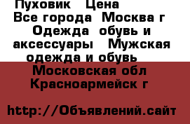 Пуховик › Цена ­ 2 000 - Все города, Москва г. Одежда, обувь и аксессуары » Мужская одежда и обувь   . Московская обл.,Красноармейск г.